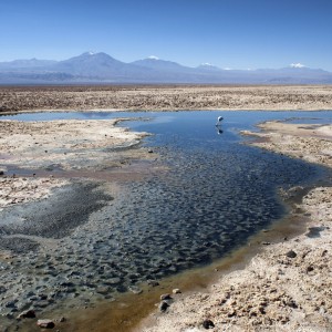 115 Salar de Atacama